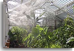 Greenhouse with fogging system